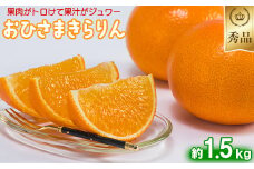 今村農園のおひさまきらりん 約1.5kg【秀品】 甘い オレンジ みかん ミカン 清美 1.5kg 1月発送 先行予約 贈答 柑橘類 フルーツ ＜107-023_7＞