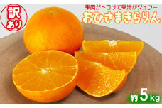 【訳あり・優品】今村農園の「おひさまきらりん 約5kg」 甘い オレンジ みかん ミカン 清美 12月発送 1月発送 先行予約 5kg わけあり 柑橘類 フルーツ ＜107-020_7＞