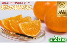 今村農園のおひさまきらりん 約20kg【秀品】 甘い オレンジ みかん ミカン 清美 10kg 12月発送 1月発送 先行予約 贈答 柑橘類 フルーツ ＜107-027_7＞