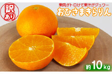 【訳あり・優品】今村農園の「おひさまきらりん 約10kg」 甘い オレンジ みかん ミカン 清美 12月発送 1月発送 先行予約 10kg わけあり 柑橘類 フルーツ ＜107-021_7＞