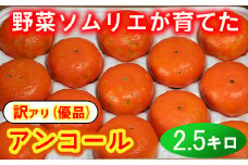 【訳あり・優品】野菜ソムリエ石児さんの「アンコール 2.5kg」 ミカン みかん 蜜柑 柑橘 訳あり 甘い 柑橘類 アンコール アンコールオレンジ フルーツ 先行予約 ＜103-018＞