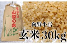 杵築市山香町 向野小店の思いやり米30kg（玄米） 米 玄米 30kg ＜055-004_6＞