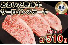 おおいた豊後牛サーロインステーキ510g（170g×3枚） 敬老の日 ＜105-006_5＞
