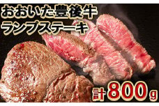 おおいた豊後牛ランプステーキ 計800g（約200g×4枚） 敬老の日 ＜105-008_5＞