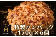 おおいた和牛特製ハンバーグ170g×6個（計1020g）【匠牧場】 ハンバーグ 国産 人気 牛肉 冷凍 和牛 おおいた和牛 豚肉 牛 敬老の日 ＜102-030_5＞