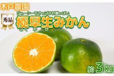 極早生みかん！木戸農園のおおいた早生 約3kg（秀品） ミカン みかん 柑橘 3kg 先行予約 9月 フルーツ 温州 ＜113-011_5＞