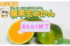極早生みかん！木戸農園のおおいた早生 約3kg（秀品） ミカン みかん 柑橘 3kg 先行予約 9月 フルーツ 温州 ＜113-011_5＞