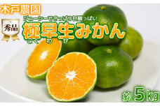 極早生みかん！木戸農園のおおいた早生 約5kg（秀品） ミカン みかん 柑橘 5kg 先行予約 9月 フルーツ 温州 ＜113-012_5＞