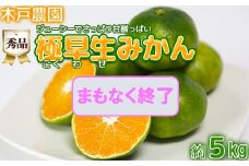 極早生みかん！木戸農園のおおいた早生 約5kg（秀品） ミカン みかん 柑橘 5kg 先行予約 9月 フルーツ 温州 ＜113-012_5＞