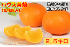 ハウス美娘 約2.5kg（化粧箱入） ／ ミカン みかん 蜜柑 柑橘類 美娘 オレンジ 2.5kg 先行予約 甘い フルーツ ＜132-002＞