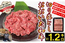 おおいた和牛切り落とし1.2kg（300g×4p） ※真空パック 【匠牧場】 牛肉 切り落とし すき焼き 牛 小分け 和牛 おすすめ 国産 おおいた和牛 バーベキュー 生産者応援の品 スピード発送 スピード 敬老の日 ＜102-002_5＞