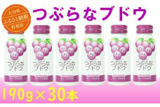 つぶらなブドウ 30本 190g ／ つぶらな つぶらなブドウ ジュース 清涼飲料水 人気 子供 おすすめ 果汁飲料 ご当地ジュース ぶどう ぶどうジュース 飲料 30本 詰めあわせ ギフト プレゼント セット 贈答 家庭用 JAフーズおおいた スピード発送 スピード 敬老の日 ＜131-104＞