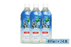 塩とカボス　495ml×24本＜131-009＞