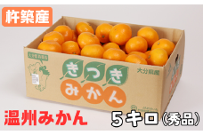杵築産 温州みかん5kg（秀品） ／ ミカン みかん 蜜柑 柑橘類 5kg 11月 12月 1月 先行予約 温州みかん フルーツ ＜132-001_5＞