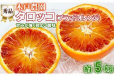 木戸農園のタロッコ（ブラッドオレンジ）約5kg（秀品） オレンジ みかん ミカン 柑橘類 フルーツ ＜113-006_5＞