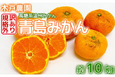【訳あり・規格外品】木戸農園の「青島 約10kg」 高糖系温州みかん みかん 10kg 訳あり 先行予約 柑橘類 フルーツ 1月 2月 ＜113-014＞