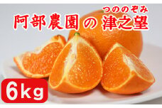 阿部農園の「津之望（つののぞみ） 約6kg」 ／ ミカン みかん 蜜柑 柑橘類 1月 津之望 先行予約 数量限定 フルーツ ＜112-011＞