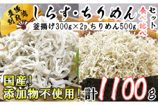 国産添加物不使用！豊後別府湾産しらす・ちりめん食べ比べセット 計1100g ＜108-036_5＞