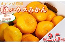 【訳あり品】オレンジ農園のハウスみかん　約2.5kg みかん 柑橘 訳あり 先行予約 7月 8月 フルーツ ＜114-001_5＞