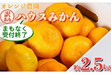 【訳あり品】オレンジ農園のハウスみかん　約2.5kg みかん 柑橘 訳あり 先行予約 7月 8月 フルーツ ＜114-001_5＞