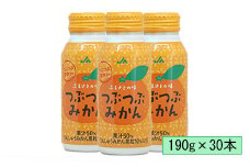 つぶつぶみかん　190g×30本＜131-018_5＞