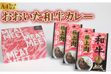 杵築産おおいた和牛カレー３食セット（レトルトカレー） ＜120-001_5＞