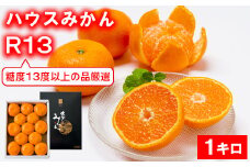 【糖度13度以上！】[プレミアムハウスみかんR13] 1kg 化粧箱入 みかん 温州 温州みかん 温州ミカン 1kg 甘い 秀品 柑橘類 糖度 6月 7月 ハウスみかん フルーツ 先行予約 九州 大分 杵築 ＜132-013＞