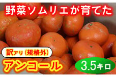 【訳あり・規格外品】野菜ソムリエ石児さんの「アンコール 3.5kg」 ミカン みかん 蜜柑 柑橘 3.5kg 訳あり 甘い 柑橘類 アンコール アンコールオレンジ フルーツ 先行予約 ＜103-017＞