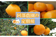 阿部農園の訳あり定期便C　田口早生・石地・青島・はるみ（11月・12月・1月・2月） ／ ミカン みかん 蜜柑 柑橘類 定期便 訳あり 先行予約 温州みかん 11月 12月 1月 2月 ＜112-803＞