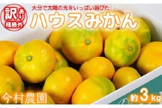 【訳あり・規格外品】今村農園のハウスみかん 約3kg みかん 柑橘 3kg わけあり 先行予約 7月 8月 フルーツ ＜107-001_7＞