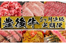 ６か月連続！おおいた豊後牛定期便！＜105-801_5＞