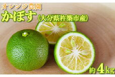 オレンジ農園のかぼす 約4kg（大分県杵築市産） 先行予約 果物 フルーツ 9月 10月 11月 ＜114-004_5＞