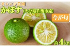オレンジ農園のかぼす 約4kg（大分県杵築市産） 先行予約 果物 フルーツ 9月 10月 11月 ＜114-004_5＞