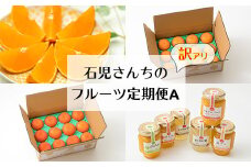 野菜ソムリエ石児さんの訳ありフルーツ定期便A（1月・2月・3月・4月） ミカン みかん 蜜柑 柑橘類 定期便 訳あり 先行予約 せとか アンコール 1月 2月 3月 4月 フルーツ ＜103-801_5＞