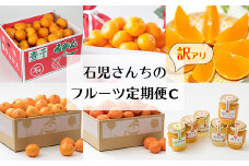 野菜ソムリエ石児さんの訳ありフルーツ定期便C（11月・12月・1月・2月・3月・4月） みかん 柑橘類 定期便 訳あり 先行予約 せとか 温州みかん アンコール 11月 12月 1月 2月 3月 4月 フルーツ ＜103-803_5＞