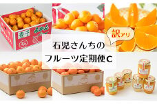 野菜ソムリエ石児さんの訳ありフルーツ定期便C（11月・12月・1月・2月・3月・4月） みかん 柑橘類 定期便 訳あり 先行予約 せとか 温州みかん アンコール 11月 12月 1月 2月 3月 4月 フルーツ ＜103-803＞