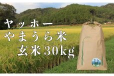 山浦地区まちづくり推進協議会のヤッホーやまうら米 30kg（玄米） 米 30kg 玄米 ＜078-004_5＞