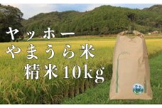 山浦地区まちづくり推進協議会のヤッホーやまうら米 10kg（精米） 10kg 米 ＜078-002_5＞