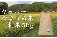 山浦地区まちづくり推進協議会のヤッホーやまうら米 5kg（精米） 米 新米 ＜078-001＞