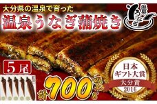 【配送日指定可能】温泉うなぎ蒲焼 5尾（140gサイズ） 国産うなぎ 人気 国産 蒲焼 蒲焼き かば焼き 鰻屋 個包装 冷凍 真空 ギフト ＜104-009_5＞
