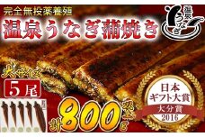 【配送日指定可能】温泉うなぎ蒲焼 5尾（160gサイズ） 国産うなぎ 人気 国産 蒲焼 蒲焼き かば焼き 鰻屋 個包装 冷凍 真空 ギフト 敬老の日 ＜104-013_5＞