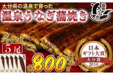 【配送日指定可能】温泉うなぎ蒲焼 5尾（160gサイズ） 国産うなぎ 人気 国産 蒲焼 蒲焼き かば焼き 鰻屋 個包装 冷凍 真空 ギフト 敬老の日 ＜104-013_5＞