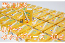 果汁100％ 紙パック みかんジュース 125ml×40本＜131-010＞