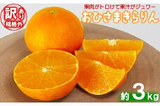 【訳あり・規格外品】今村農園の「おひさまきらりん 約3kg」 先行予約 3kg 12月発送 1月発送 わけあり 柑橘類 フルーツ ＜107-017_7＞