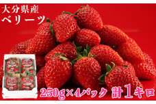 [2月発送]大分県産 ベリーツ 約1kg（約250g×4パック）／ いちご イチゴ 1kg 先行予約 2月 甘い フルーツ 苺 スイーツ ＜133-102_5＞