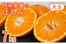 阿部農園の「はるみ(大玉) 約7kg」 ／ ミカン みかん 蜜柑 柑橘類 はるみ 先行予約 2月 3月 数量限定 フルーツ ＜112-009_5＞
