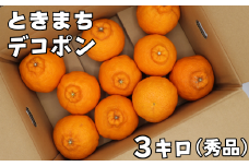 宮川農園のハウス栽培「ときまちデコポン」約3kg（秀品） ／ ミカン みかん 蜜柑 柑橘類 デコポン 不知火 先行予約 4月 甘い フルーツ ＜144-006_6＞