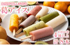 松山堂の葛アイス8本セット（いちご、みかん、抹茶、あずき、かぼす、キウイから4種類以上をおまかせ）＜118-001＞