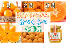 野菜ソムリエ石児さんの訳ありミカン食べくらべ定期便１種２キロ(１月・２月・３月) みかん 柑橘類 定期便 訳あり 先行予約 温州みかん ポンカン アンコール 1月 2月 3月 フルーツ ＜103-804_5＞