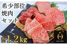 おおいた和牛希少部位4種焼肉食べ比べセット1.2kg（800g・400g各1箱）【匠牧場】 牛肉 焼肉 牛 焼肉用 和牛 おすすめ 国産 赤身 食べ比べ おおいた和牛 バーベキュー スピード発送 スピード 敬老の日 ＜102-013_5＞